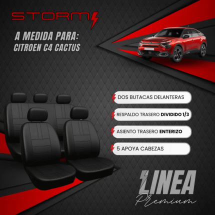 FUNDA C4 CACTUS 2018/24 2 BUTACAS, ATE Y RT 1/3 2/3